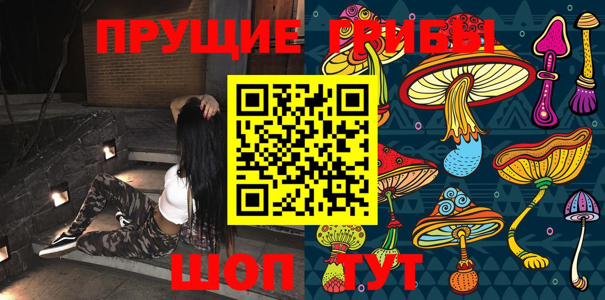 Зеленодольск  Галлюциногенные грибы MAGIC MUSHROOMS  Вход с VPN 